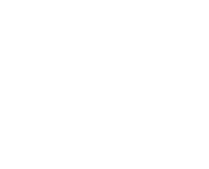 SEO raketten logo white
