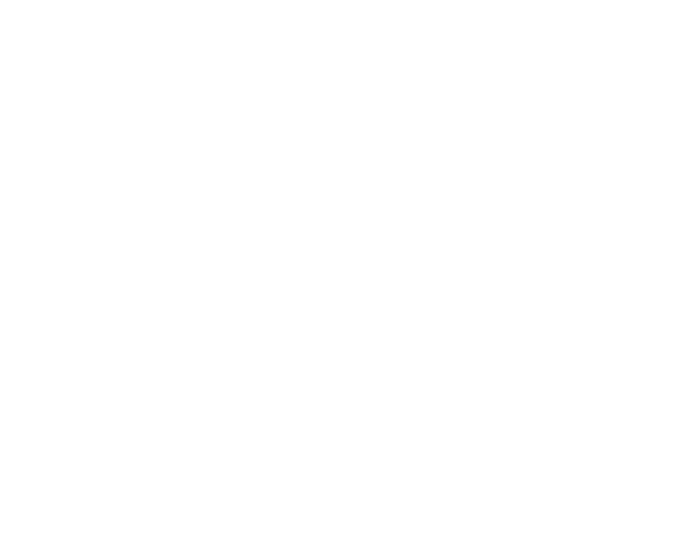 SEO raketten logo white