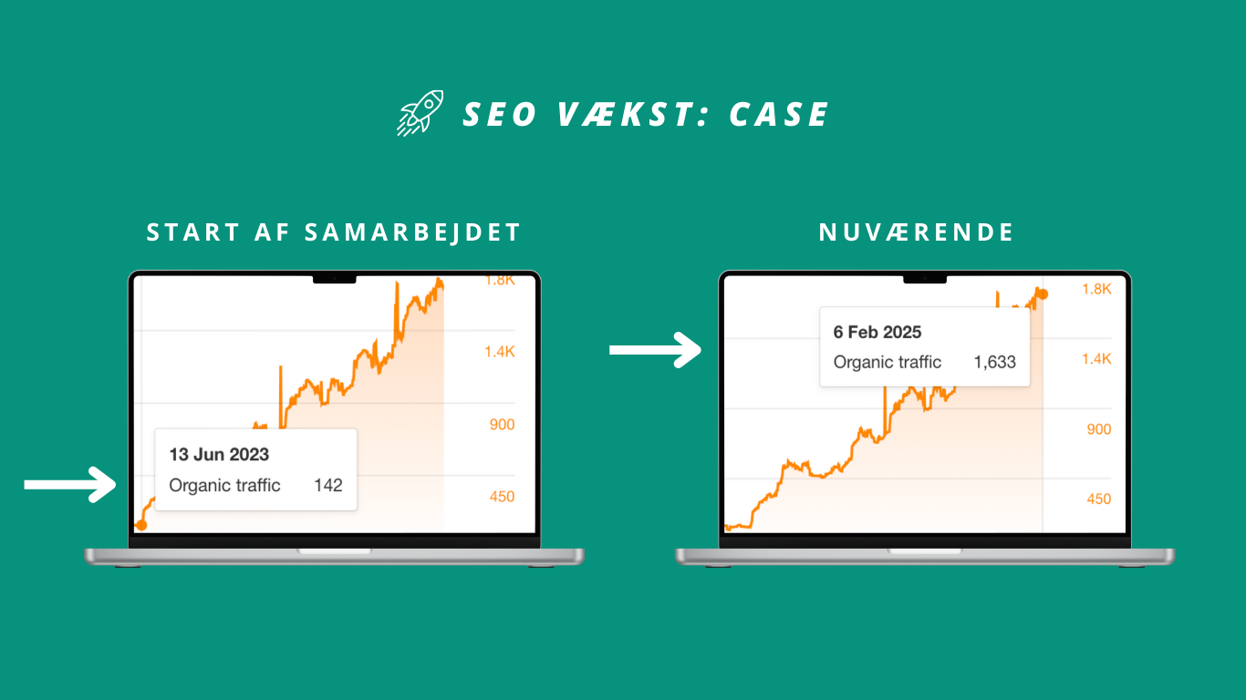 SEO case